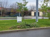 Imagine atasata: 20251205_114903.jpg